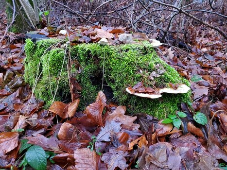 20211229_161758.jpg