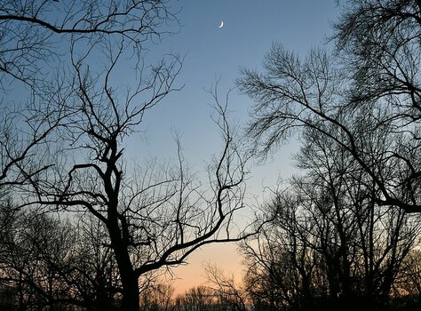 comp_Mond ist aufgegangen_453.jpg