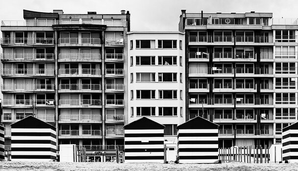 comp_DSC_2394.jpg