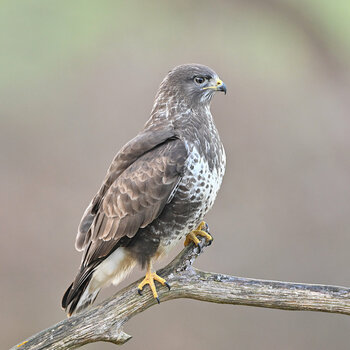 6BB463F7-6025-4975-ACB7-CC4C962C5C6A.jpeg