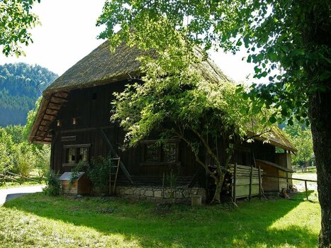 2022-01-08_09-07-34.jpg