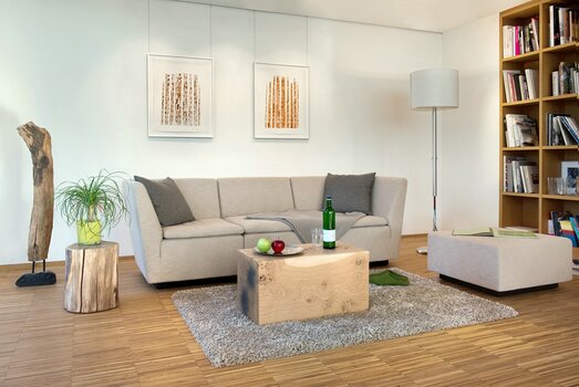 Seilhängung mit Distance Magnetrahmen von HALBE-Rahmen über dem Sofa in einem Wohnzimmer