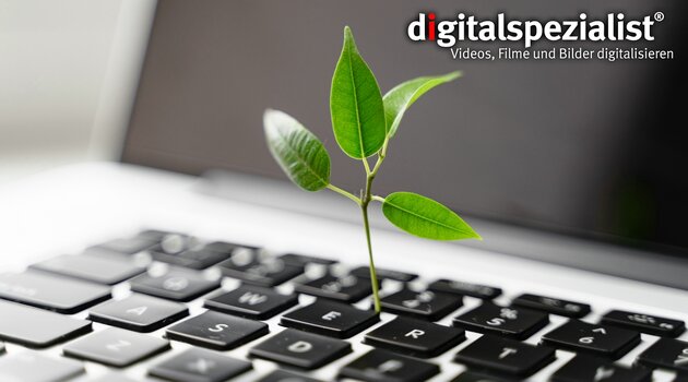 Grüne Pflanze wächst aus Laptop-Tastatur. Symbolbild.
