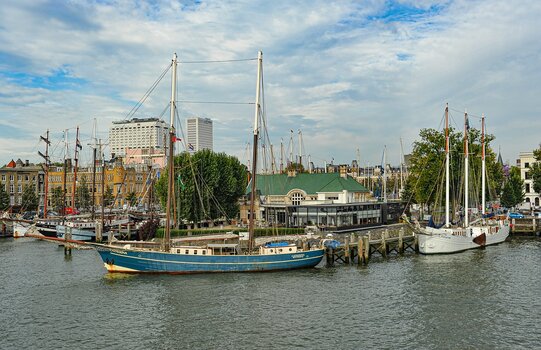 comp_DSC_2704.jpg
