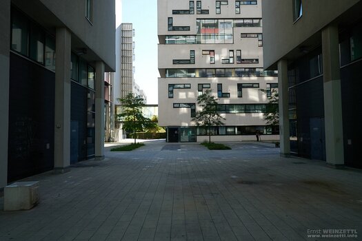k_20210925-1449-_EW71463-NIK.jpg