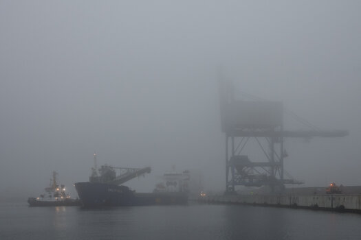 20220112_090519_nf.jpg