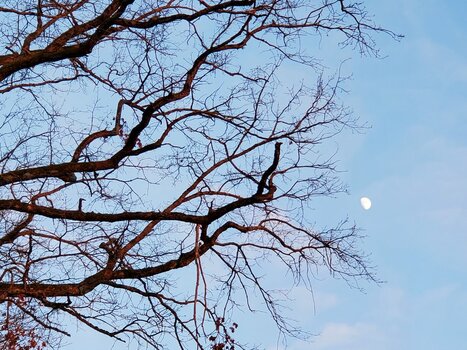 20220112_163517.jpg