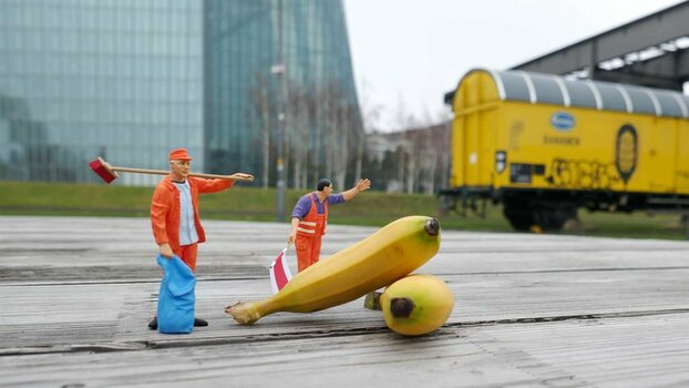 EZB-Bananen 2.jpg