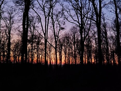 20220113_172634.jpg