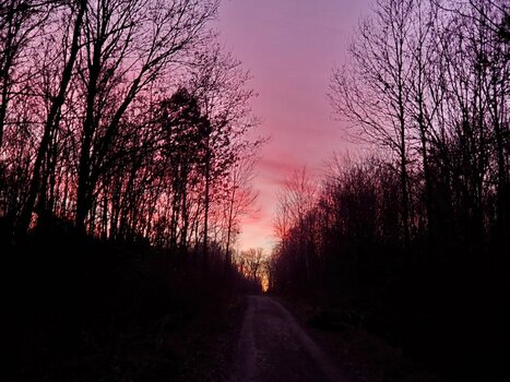 20220113_171500.jpg
