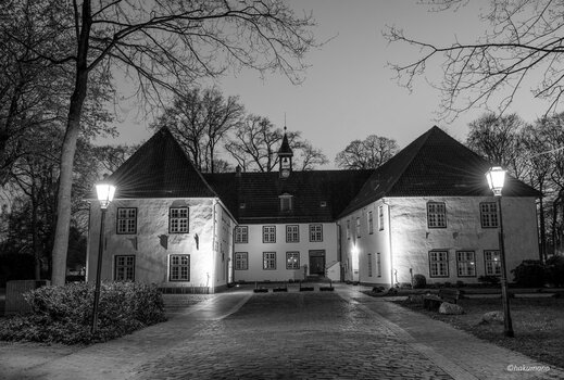 Neuenburg Schloss.jpg
