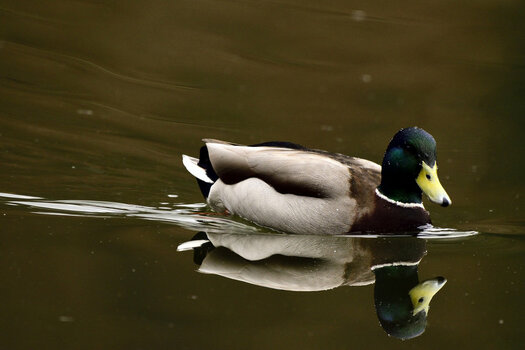 _DSC0126_00001.jpg