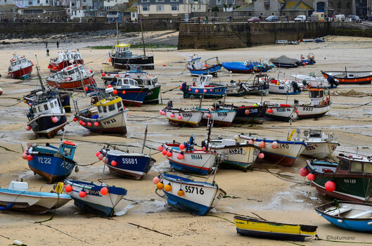 St Ives Boote.jpg
