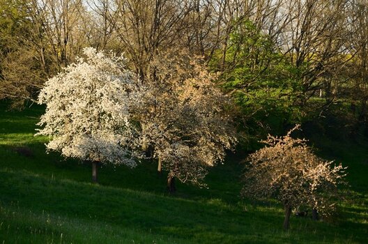 DSC_5903_00001n.jpg