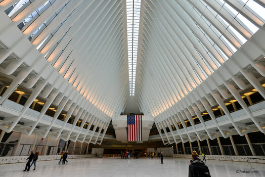 01 Calatrava Bahnhof New York innen.jpg