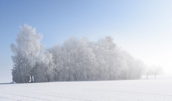 Weitenburg 18.1.2016 090.JPG