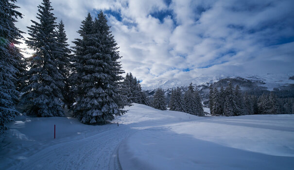 DSC04810.jpg