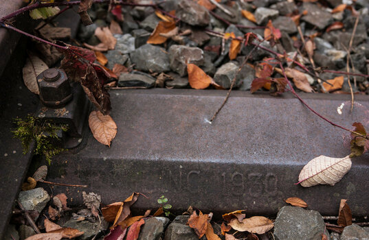 DSC_3891.jpg DSC_3891.jpg