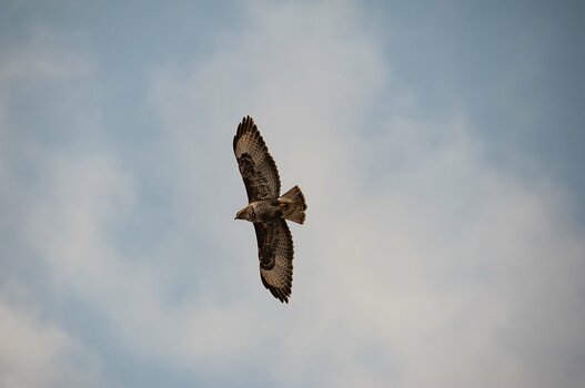 comp_DSC_0324.jpg