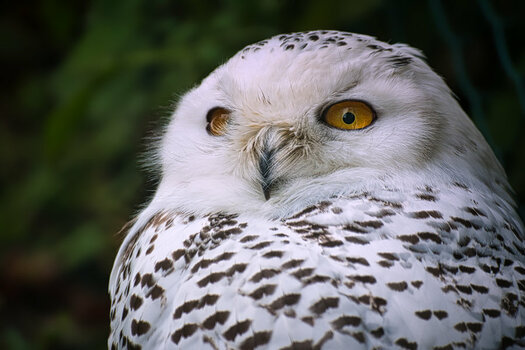 DSC_2397 (2).jpg DSC_2397 (2).jpg