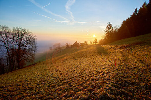 202201_Erlinsbach_D811757_HDR 1.jpg