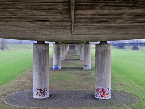 DSC_0807.jpg