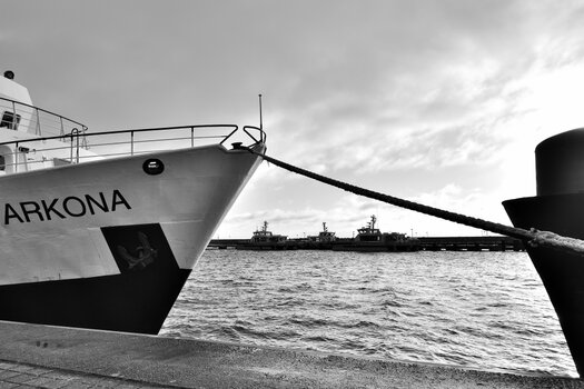 20220205_092329bw_nf.jpg
