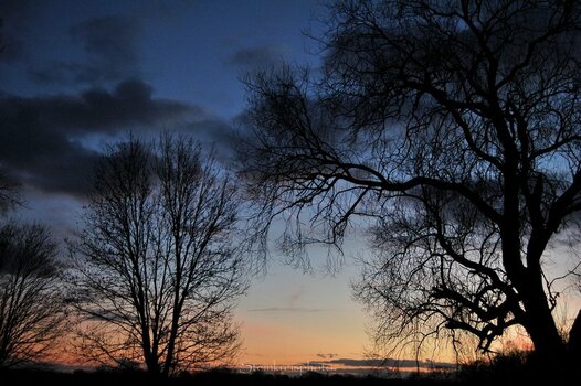 comp_Abendstimmung_472.jpg