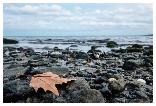 xSierksdorf Herbst Meer.jpg