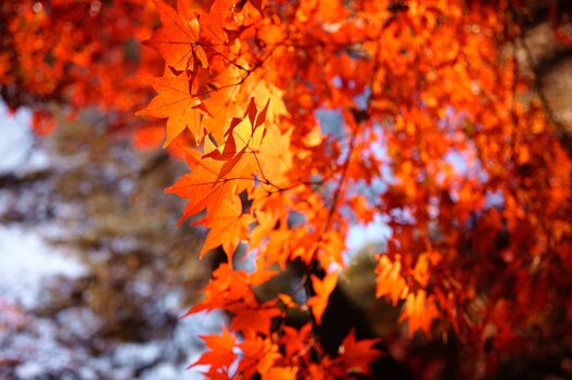 k_Shinich_Hanawa_Referenzbild_1_20mm_F2_DG_DN_Contemporary.jpg k_Shinich_Hanawa_Referenzbild_1_20mm_F2_DG_DN_Contemporary.jpg