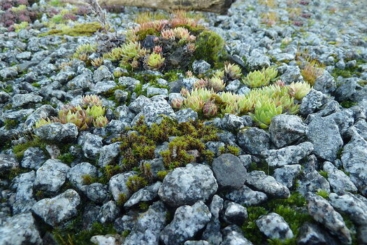 P1070442_900.JPG P1070442_900.JPG