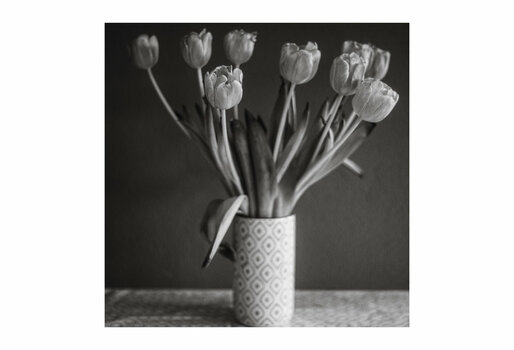 tulips 1.jpg