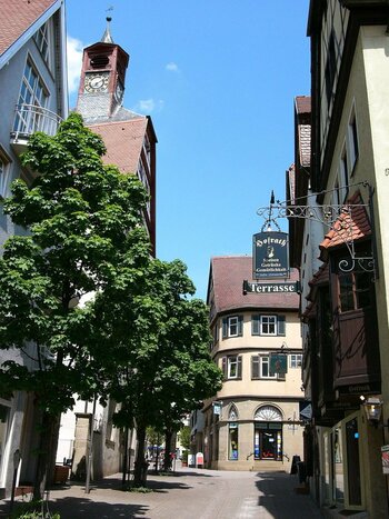 2022-02-13_08-40-24.jpg