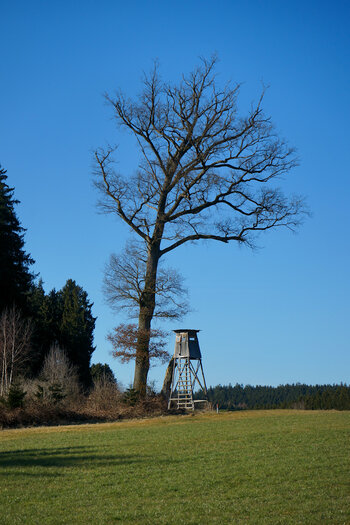 DSC_10589.jpg