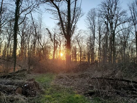 20220209_171007.jpg