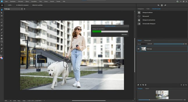 ACDSee Gemstone Photo Editor 12, Tool Hintergrund entfernen