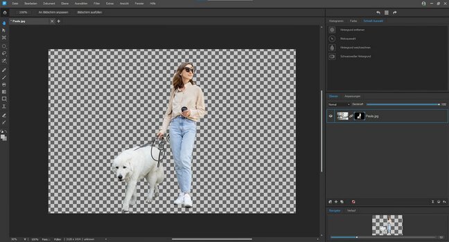 ACDSee Gemstone Photo Editor 12, Hintergrund entfernt