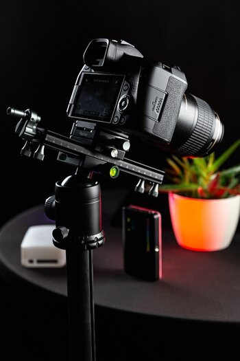 Anwendungsbeispiel: Makroschlitten von Rollei auf Stativ mit montierter Kamera vor Fotomotiv Topfpflanze auf Tisch