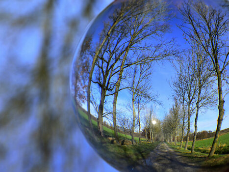 _DSC0048_00001_02.jpg