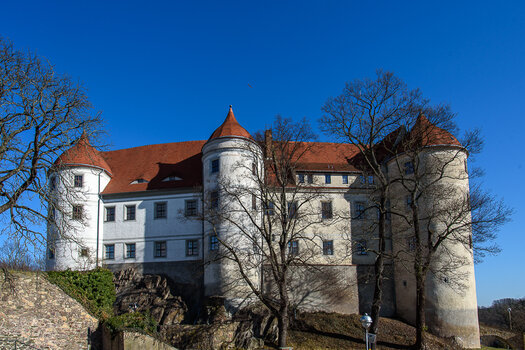 750_5188.JPG