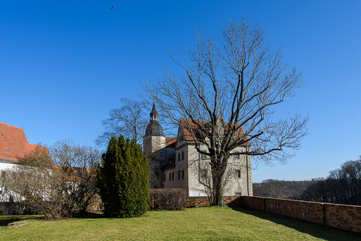 750_5205.JPG