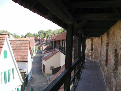 2022-02-22_09-53-16.jpg