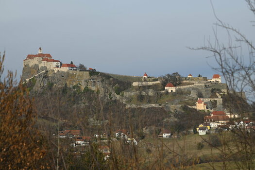 DSC_8639.JPG