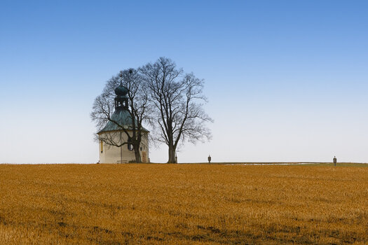 DSC_1320.jpg