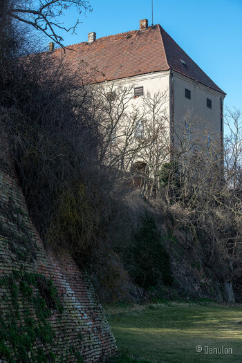 Danulon-5.jpg