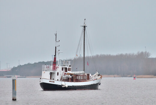 20220108_084906_nf.JPG