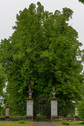 Danulon-14.jpg