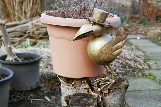 comp_image143.jpg