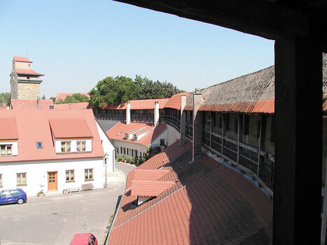 2022-03-02_10-33-00.jpg