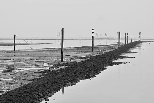 6A150146-E4CF-40D7-9898-B1F7F0540068.jpeg